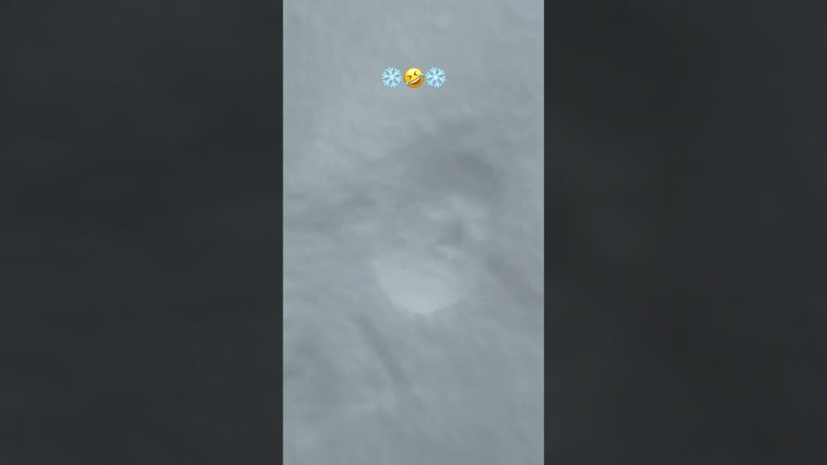 삿포로 여행 중 추억 ❄️ As expected, snow is Sapporo #sapporo #snow