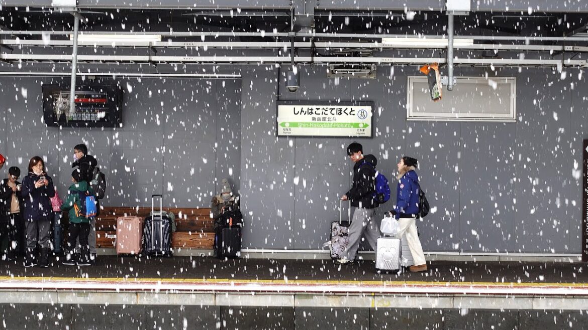 やさぐれ夫婦のご褒美旅 冬の函館ベチャベチャ編 やさぐれ夫婦のご褒美旅 冬の函館ベチャベチャ編