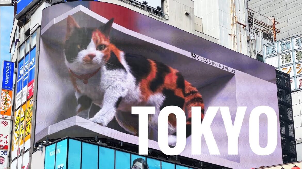 How to Explore Tokyo at My Own Pace How to Explore Tokyo at My Own Pace