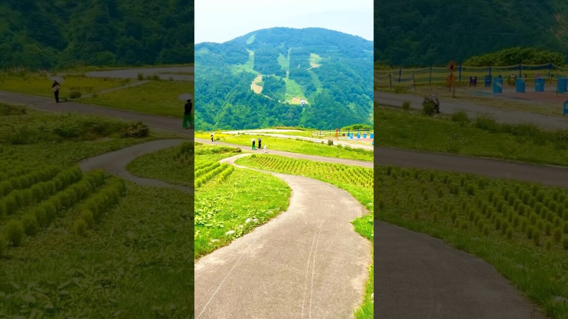 #新潟県 #新潟 #Niigata #湯沢町 #アルプの里#beautifuljapan #japantrip #japantravel #japantravel #travelawesome