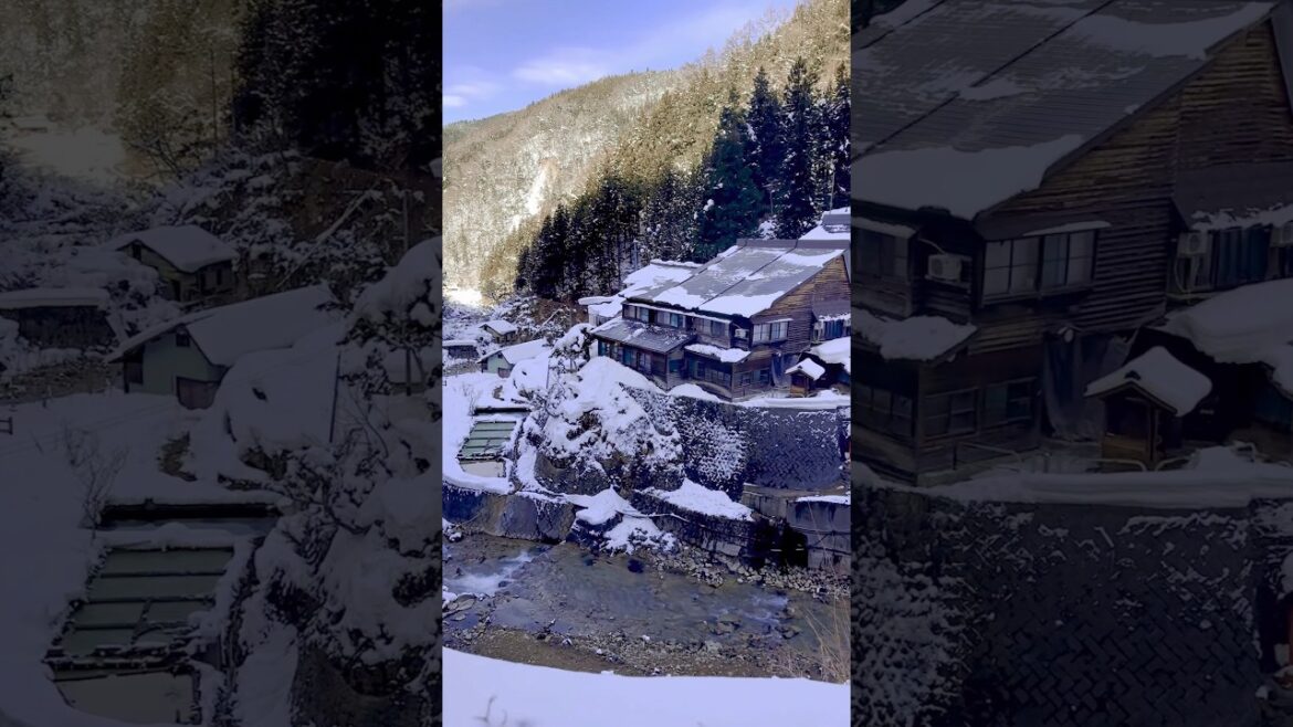 Jigokudani Valley, Nagano, Japan