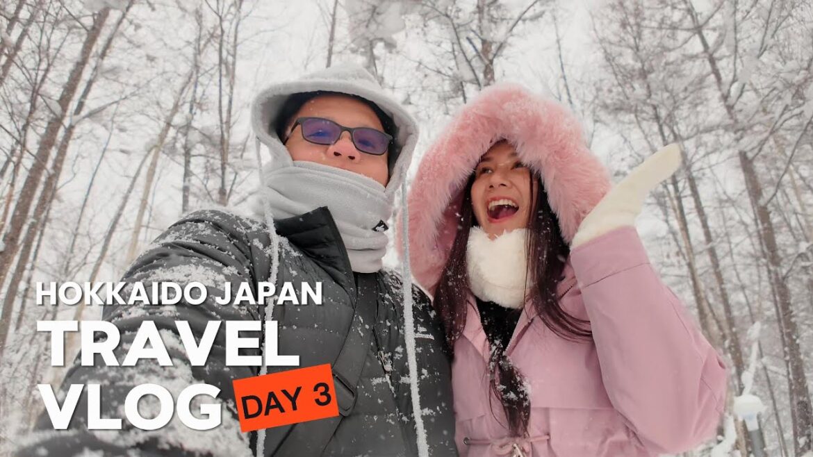 Hokkaido Winter Adventure Vlog: Day 3 | Asahiyama Zoo, Biei Blue Pond & Shirahige Falls Tour Hokkaido Winter Adventure Vlog: Day 3 | Asahiyama Zoo, Biei Blue Pond & Shirahige Falls Tour