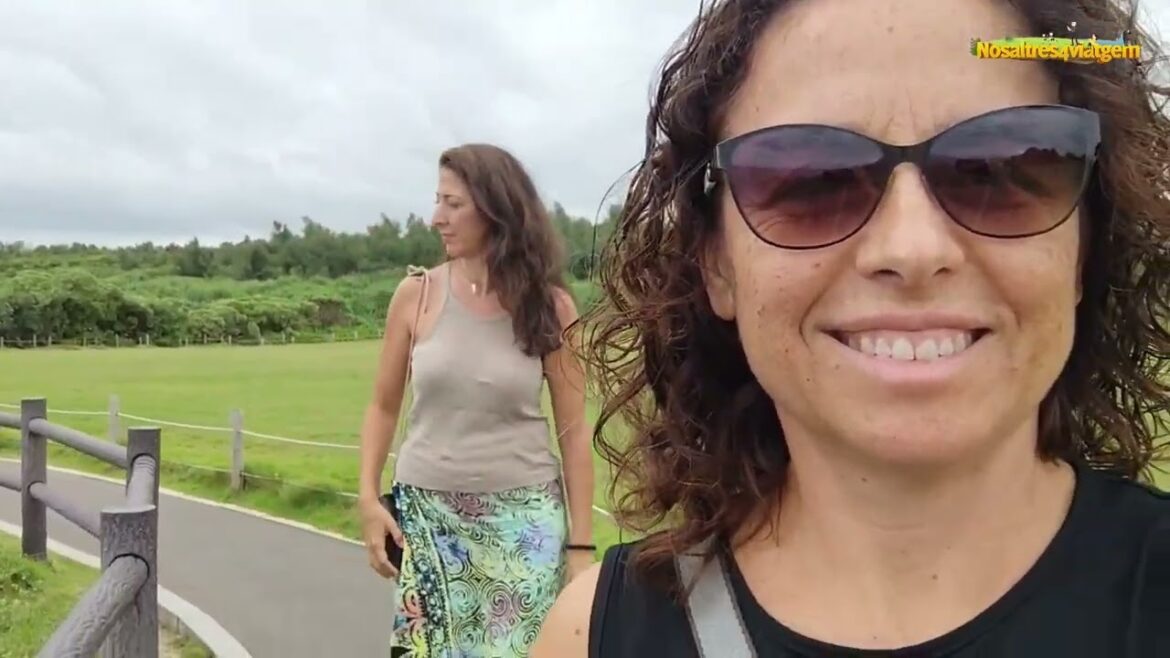 2024 JAPON: OKINAWA ROADTRIP 2024 JAPON: OKINAWA ROADTRIP