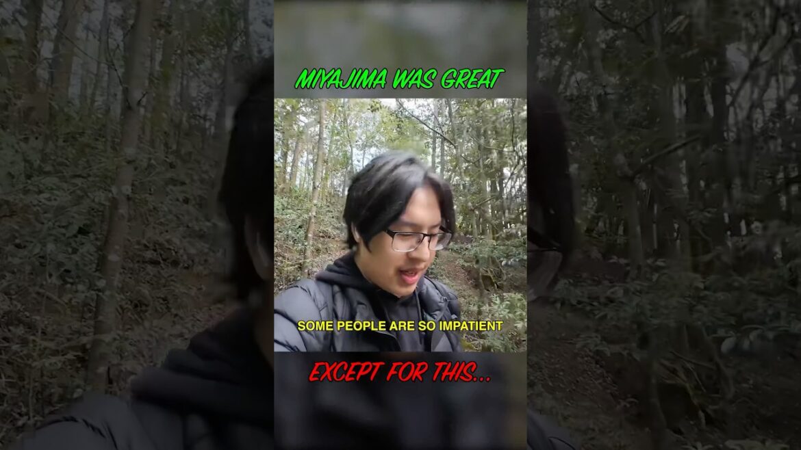 This has to be said... #shorts #japan #travel #miyajima #hiroshima