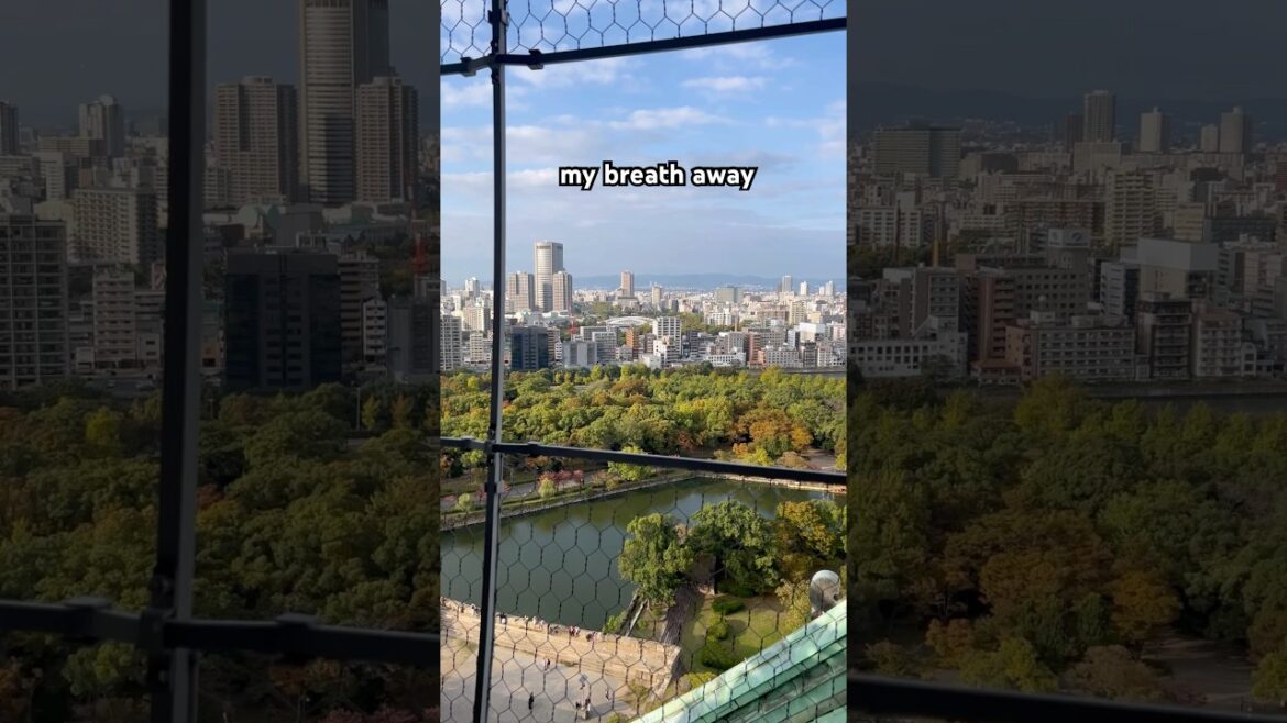 What?! 3 reasons to visit Osaka Castle! #travel #viralshorts #japan #osaka