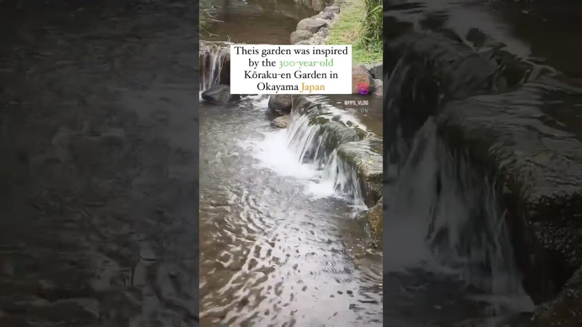 Friendship Garden / Pu La Deshpande Garden #pune #placestovisitinpune #india #travel #viral #shorts