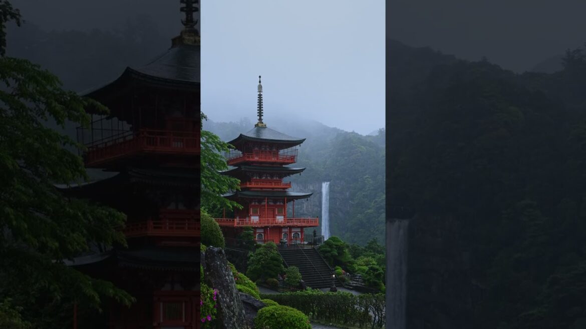 Rain in Seigantoji Temple Wakayama, Japan #JapanTravel #VisitJapan  #DiscoverJapan #JapanScenery