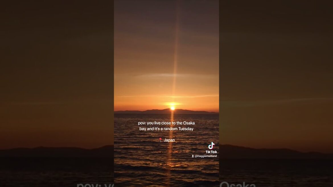 The most underrated Osaka beach 🌅 #japan #osaka #travel