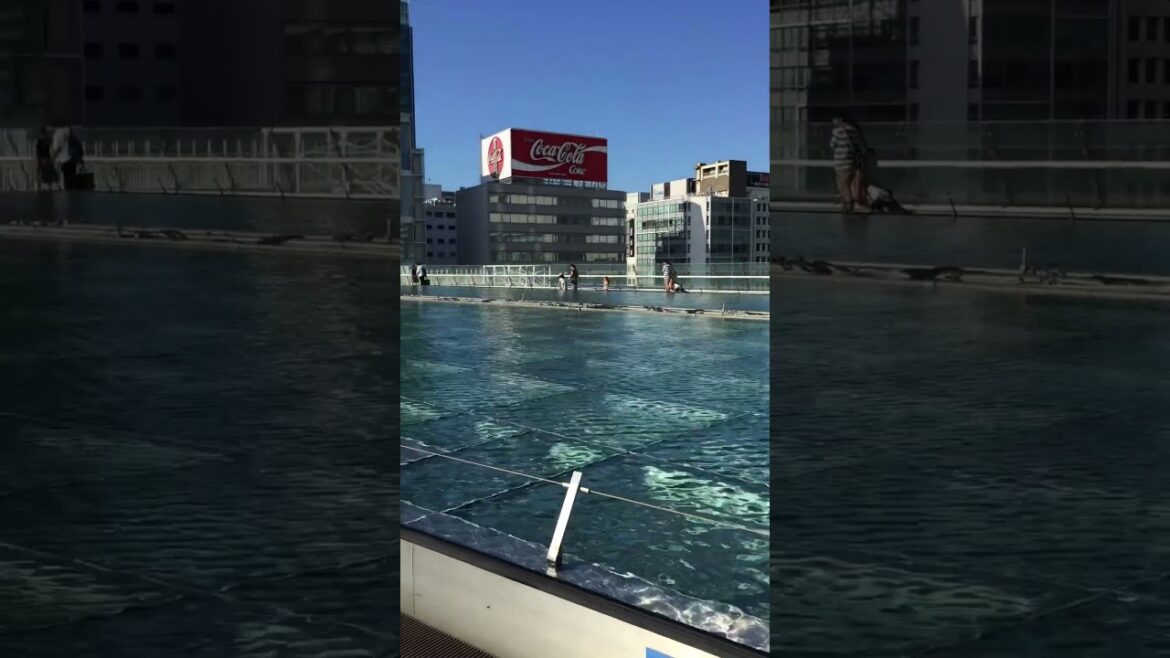 Travelogue 🇯🇵 Oasis 21, Nagoya #japan