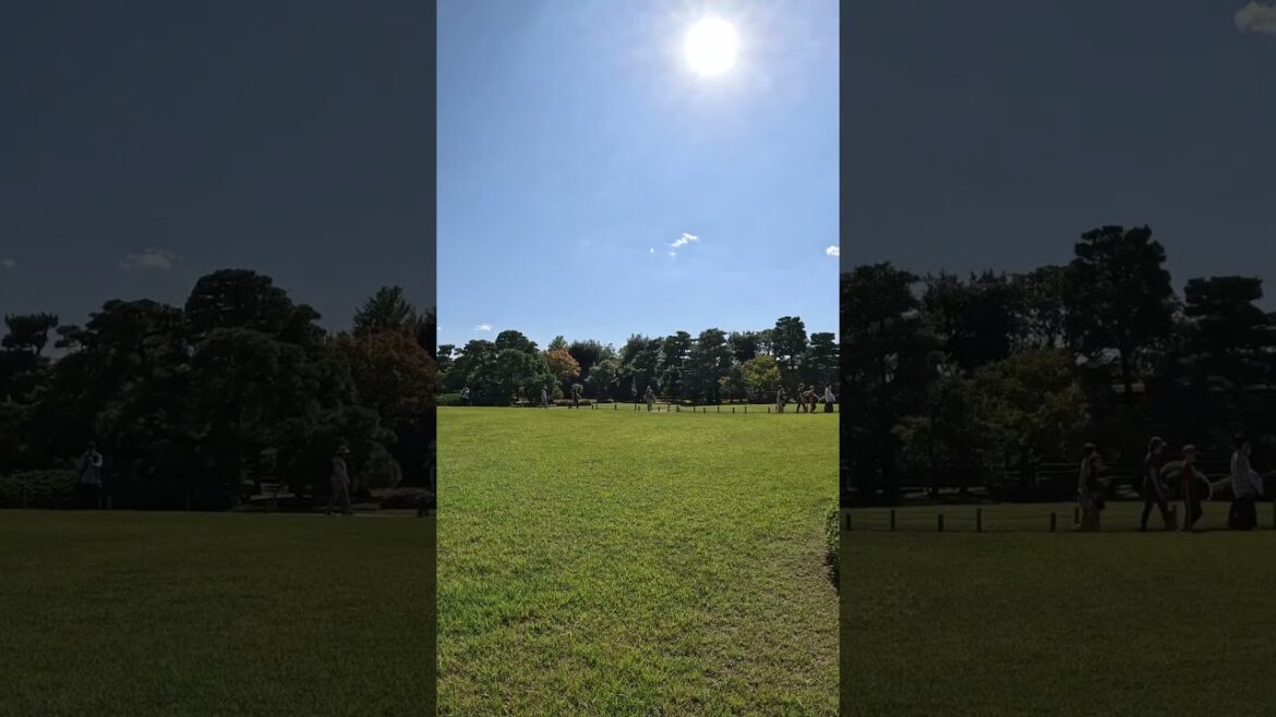 【KYOTO】Must-See Nice Quiet Garden- Nijo Castle