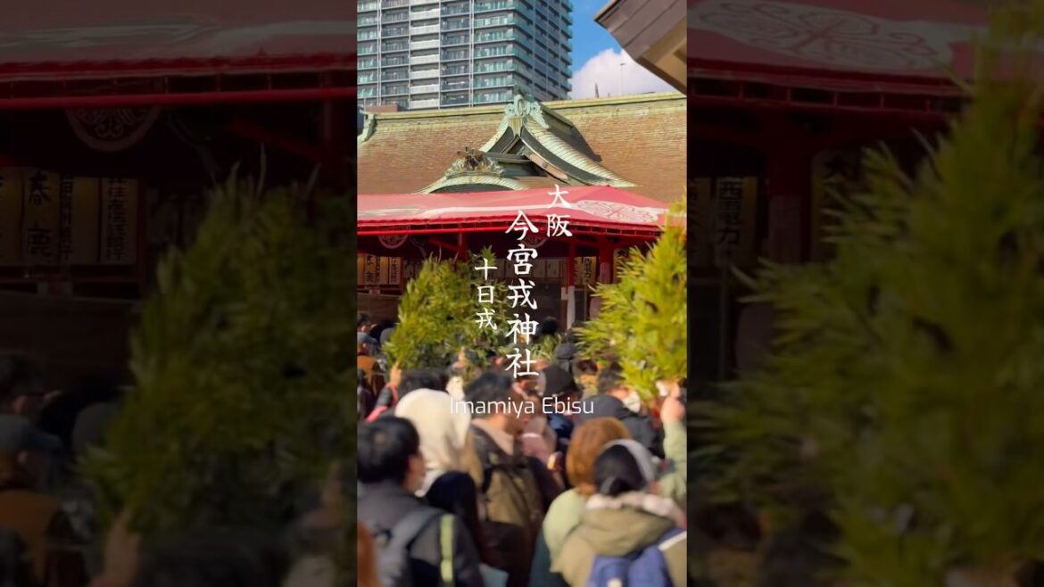 十日戎 今宮戎神社 大阪 #shorts #japan #osaka #festival #初詣 #祭り #神社 #十日戎
