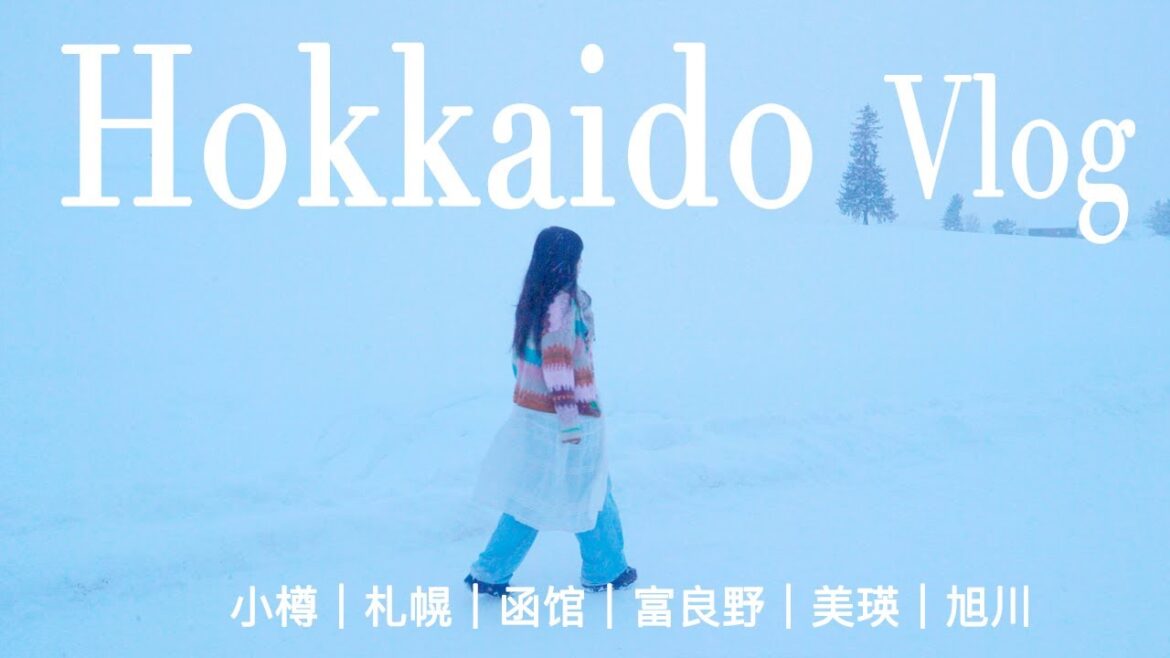 北海道的冬天｜小樽运河｜富良野孤独圣诞树｜旭川企鹅散步｜美瑛｜白须瀑布｜函馆山夜景｜札幌白色恋人工厂ShanTrip23