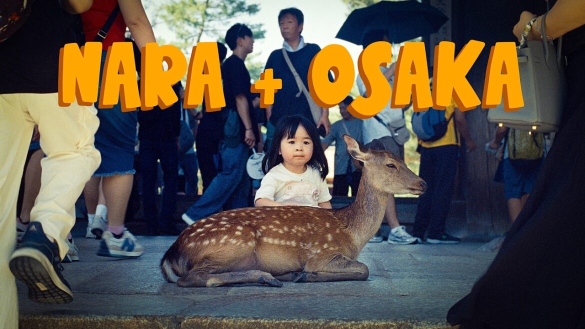 Film Photography in Nara & Osaka (Japan)