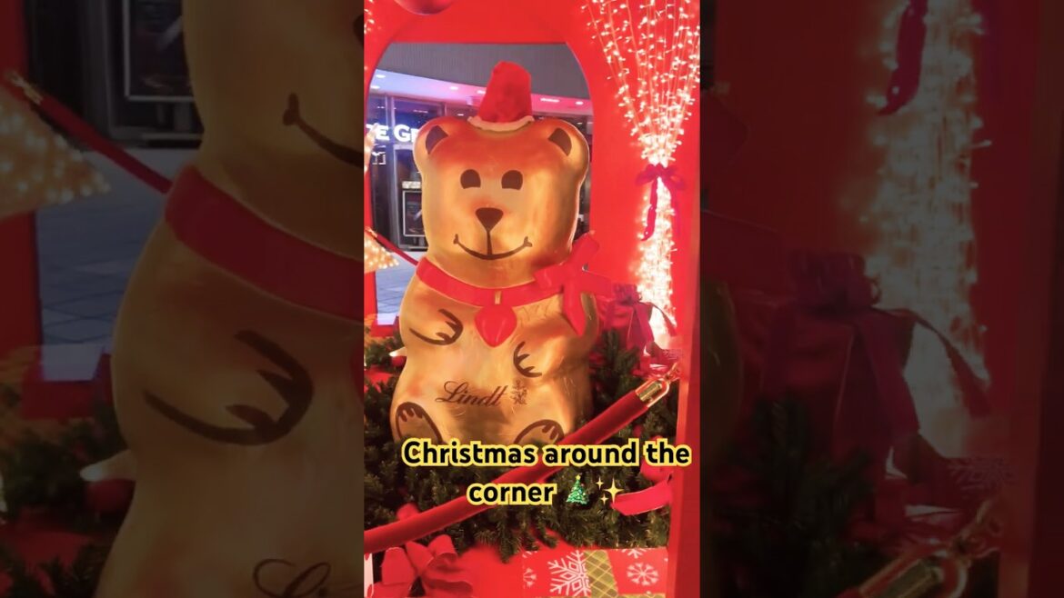 Christmas in Japan | Christmas in Yokohama | #shorts #ytshorts #ytshortsindia #christmas #tokyo