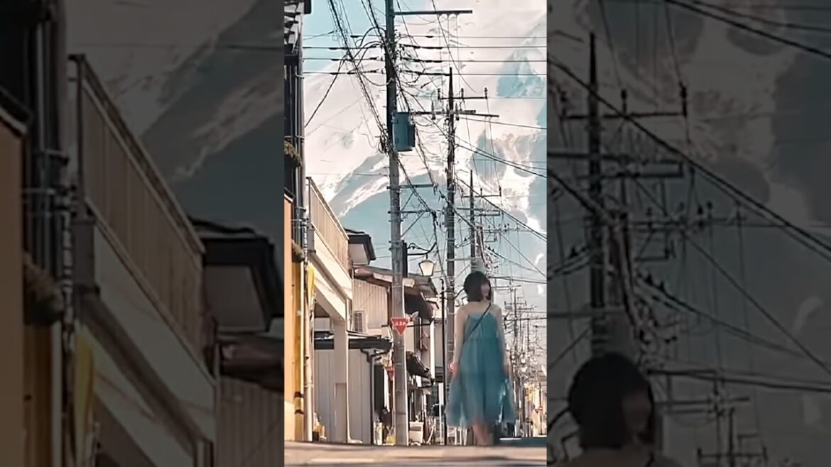 Fuji Mountain Travel / Shizuoka Travel / Japan Train Travel