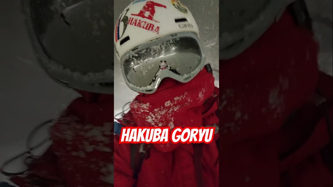 Hakuba Goryu Snow Resort in Japan ❄️