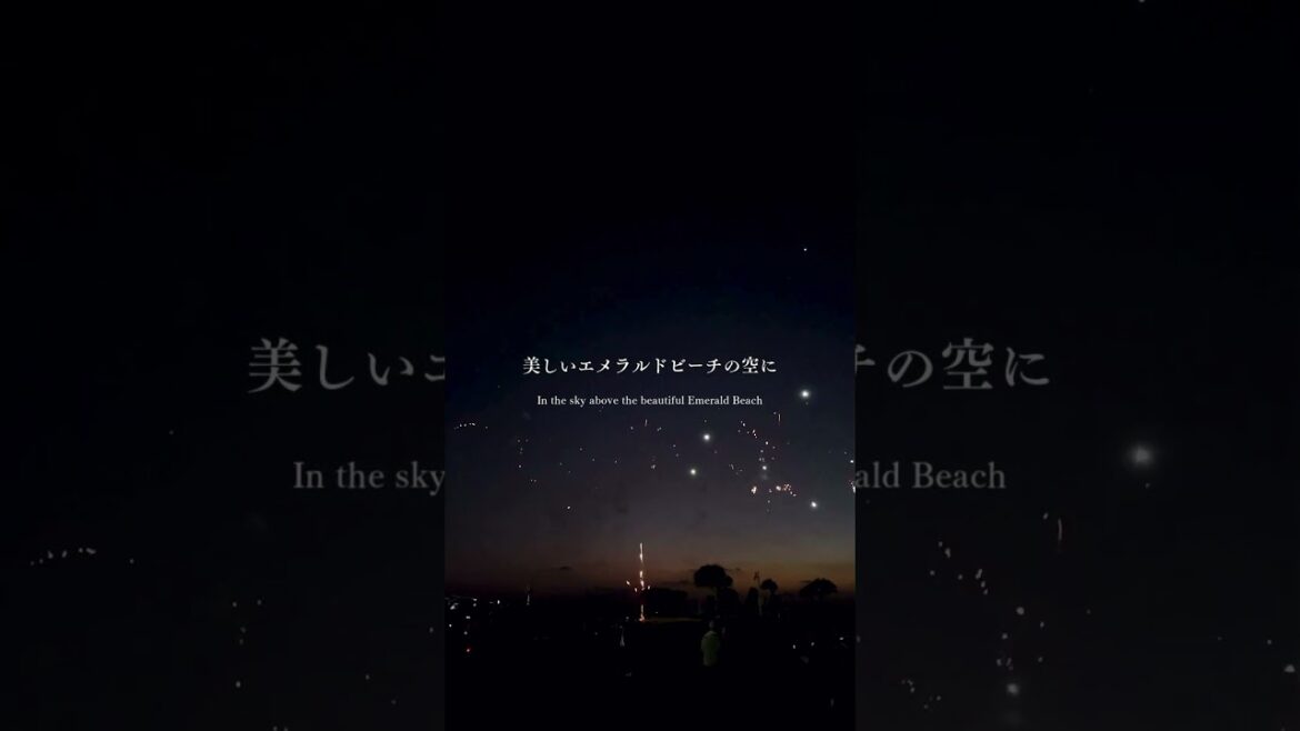 【桜華爛漫おきなわ花火2025~協賛として参加~】