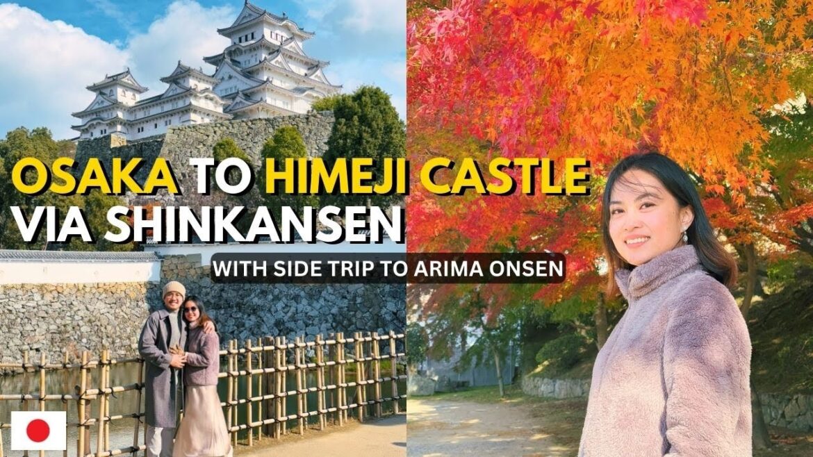 🇯🇵 HYOGO, JAPAN VLOG: Himeji Castle, Shinkansen How To, Arima Onsen Kobe, and Kim's disaster!