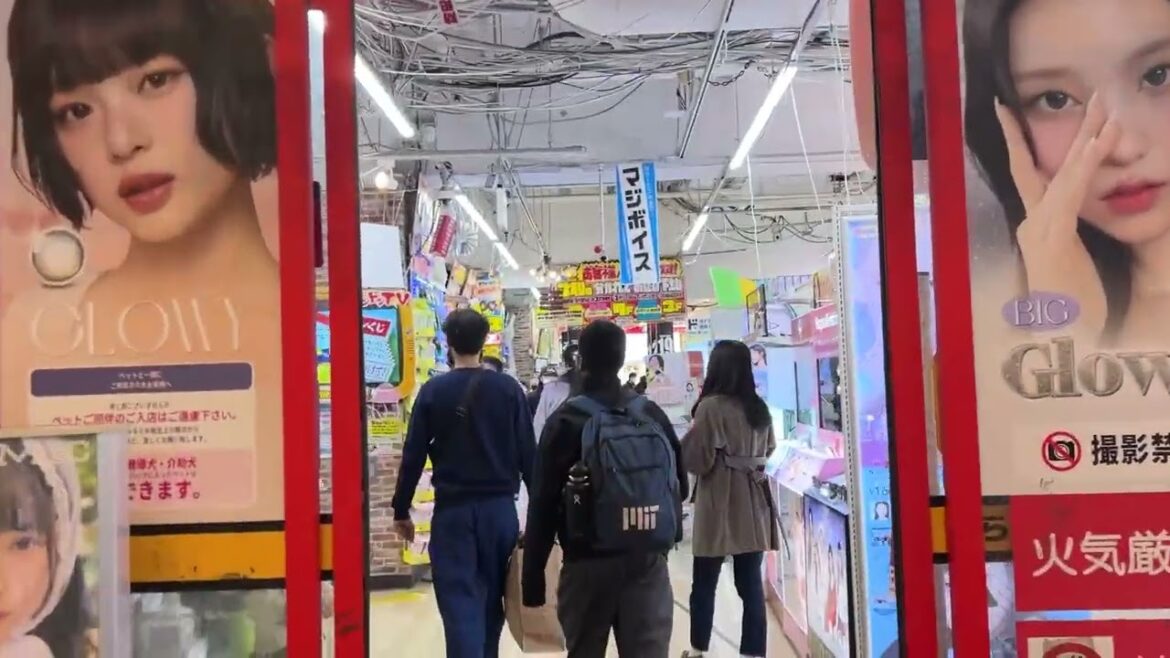 Shibuya Toy Stores | Exploring Toy Stores in JAPAN 2025