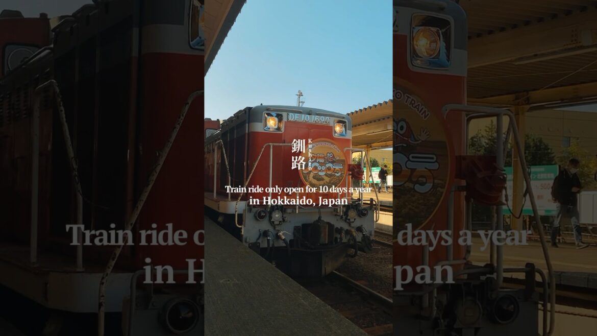 Train ride only open for 10 days a year in Kushiro, Hokkaido, Japan |JNTO Train ride only open for 10 days a year in Kushiro, Hokkaido, Japan |JNTO