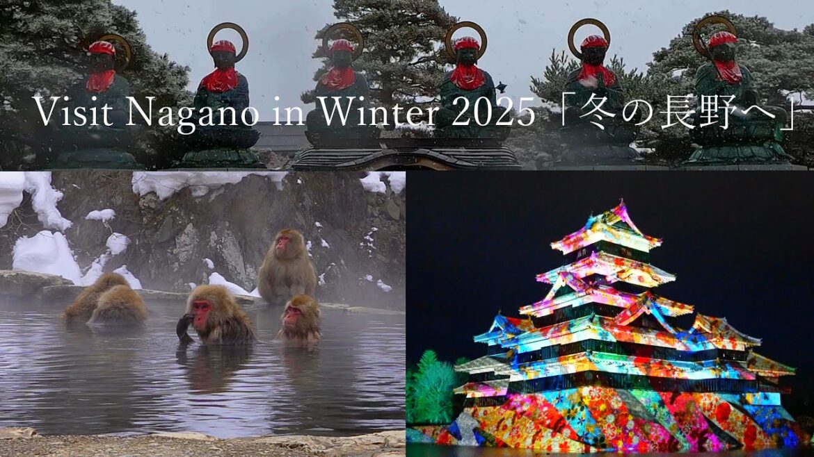 Snow monkeys bathing in hot springs, Zenkoji Temple, Matsumoto Castle projection mapping! Snow monkeys bathing in hot springs, Zenkoji Temple, Matsumoto Castle projection mapping!