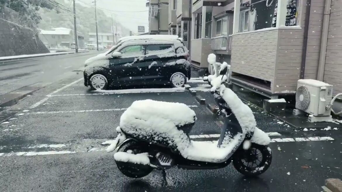 Another Side of Nagasaki | Winter day Walking tour in Sakioka’s village | sasebo Nagasaki Japan 4k🇯🇵 Another Side of Nagasaki | Winter day Walking tour in Sakioka's village | sasebo Nagasaki Japan 4k🇯🇵