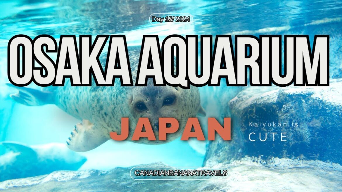 Hidden Secrets of Osaka Aquarium! 🕵️‍♂️🐟 (What Most Tourists Miss)