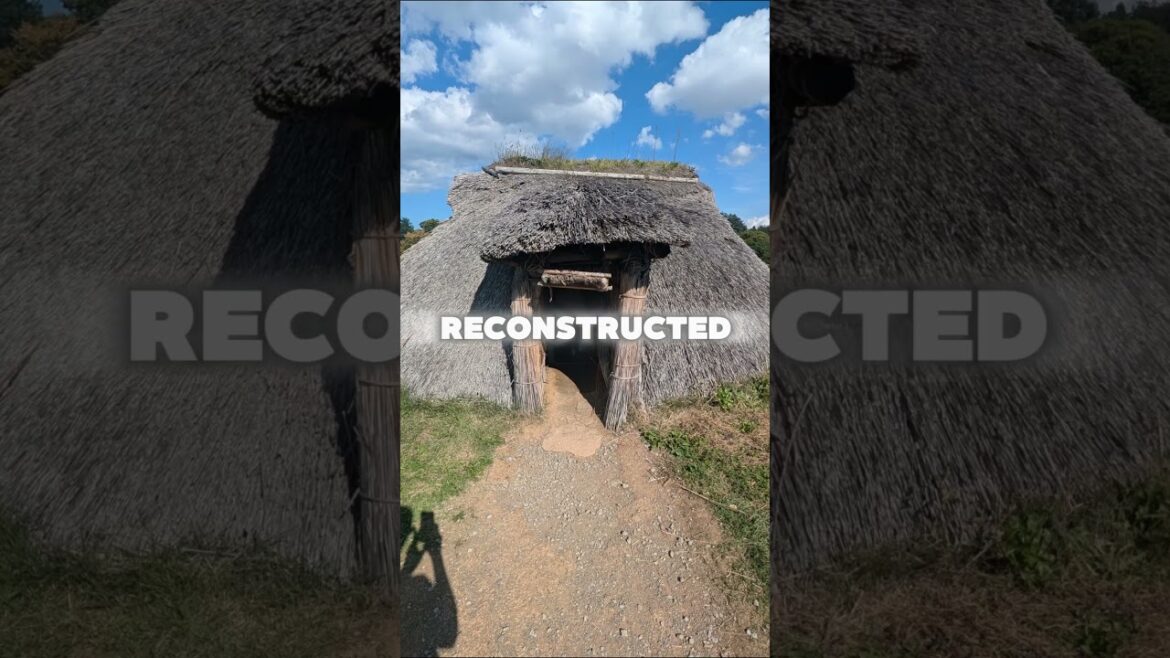 Sannai Maruyama: Discover Japan’s Ancient Jomon Village! #jomon #history #japantravel #aomori Sannai Maruyama: Discover Japan’s Ancient Jomon Village! #jomon #history #japantravel #aomori