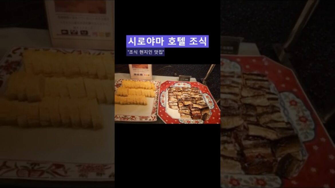 가고시마 시내 10분!? 시로야마호텔 셔틀이동 가능한 현지인 조식맛집 호텔✅ 일본겨울골프 여행지추천