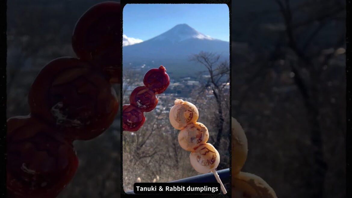 Car Charter Trip Around Kawaguchiko & Mt. Fuji ๐๐ป Car Charter Trip Around Kawaguchiko & Mt. Fuji ๐๐ป