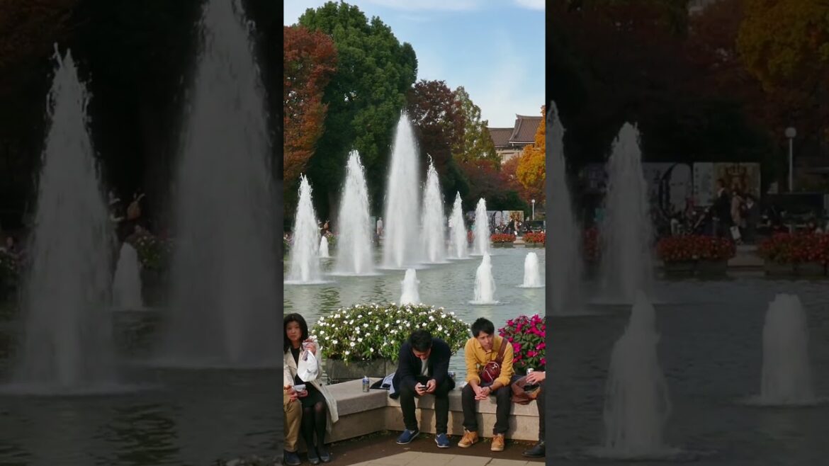 #Tokyo #travellove #vacation #travelguide #travel #Tokyo #travellove #vacation #travelguide #travel