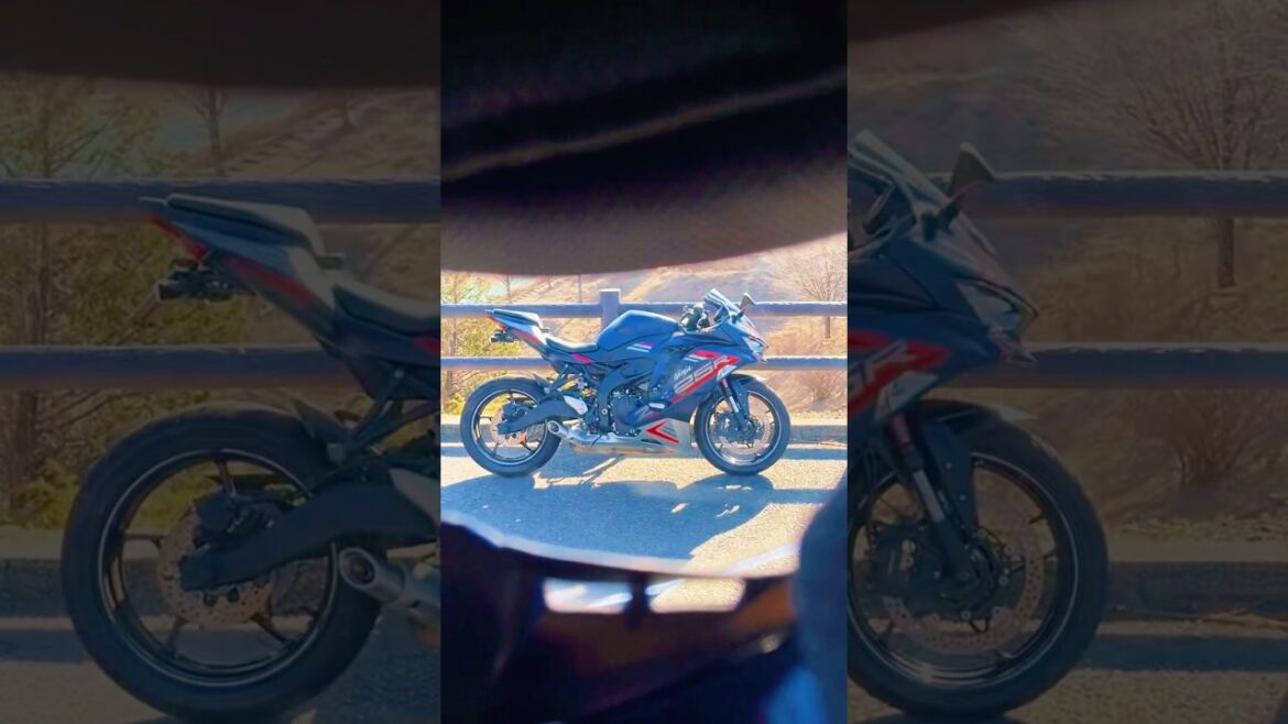 Nature and Ocean Views at Sodegaura Seaside Park#japan #sea #views  #travel#shorts #vivia eo a