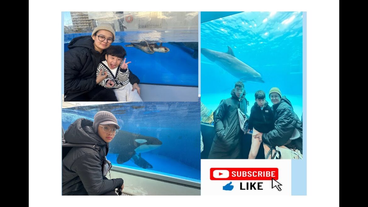 Serunya liburan ke seaworld suma kobe Jepang Serunya liburan ke seaworld suma kobe Jepang