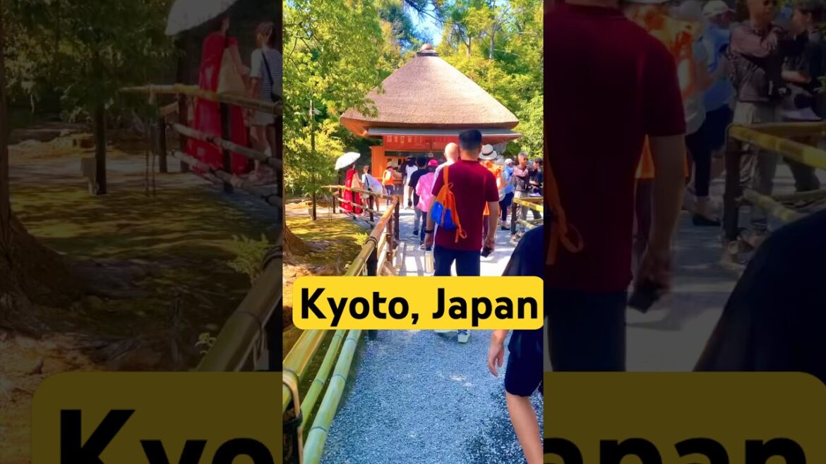 Kinkakuji Temple/ Golden pavilion (Golden Temple) Kyoto, Japan #travel #japan #shorts #temple Kinkakuji Temple/ Golden pavilion (Golden Temple) Kyoto, Japan #travel #japan #shorts #temple