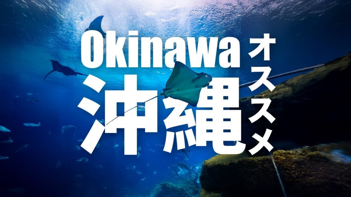 Have Fun in Okinawa Pass ｜DMM Kariyushi Aquarium, Okinawa World, Wagyu BBQ, Kimono Experience
