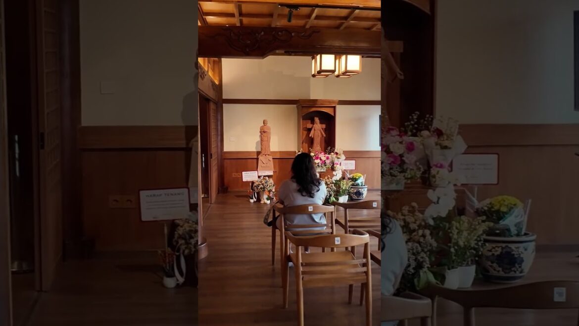 PIK 2 OUR LADY OF AKITA