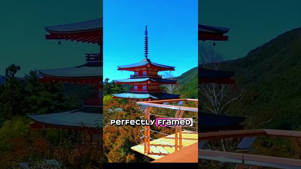 The Best View of Mount Fuji! ποΈπΈβ¨ #japan #travel #ytshorts #facts The Best View of Mount Fuji! ποΈπΈβ¨ #japan #travel #ytshorts #facts