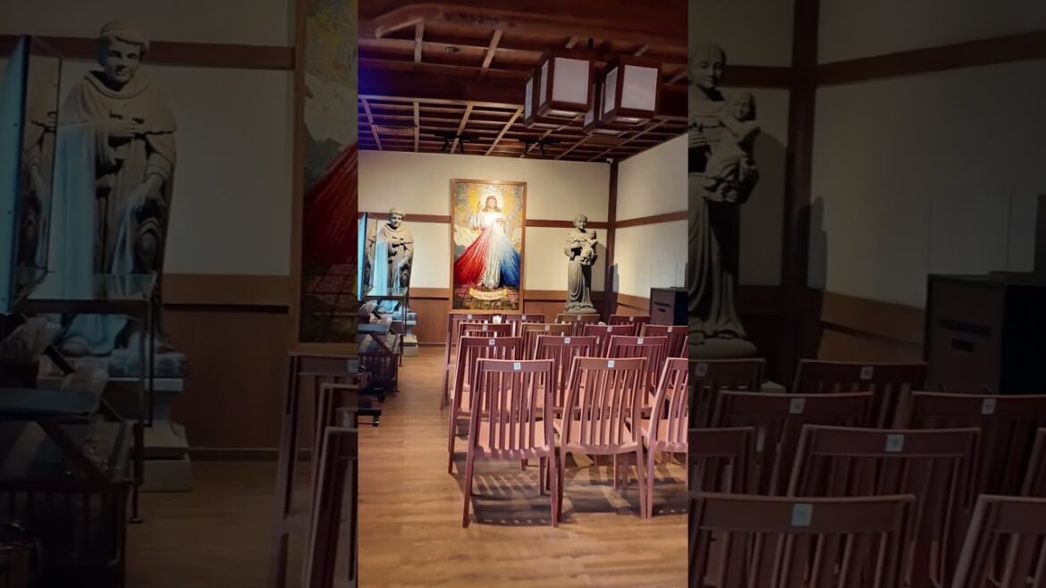 PIK2 OUR LADY OF AKITA