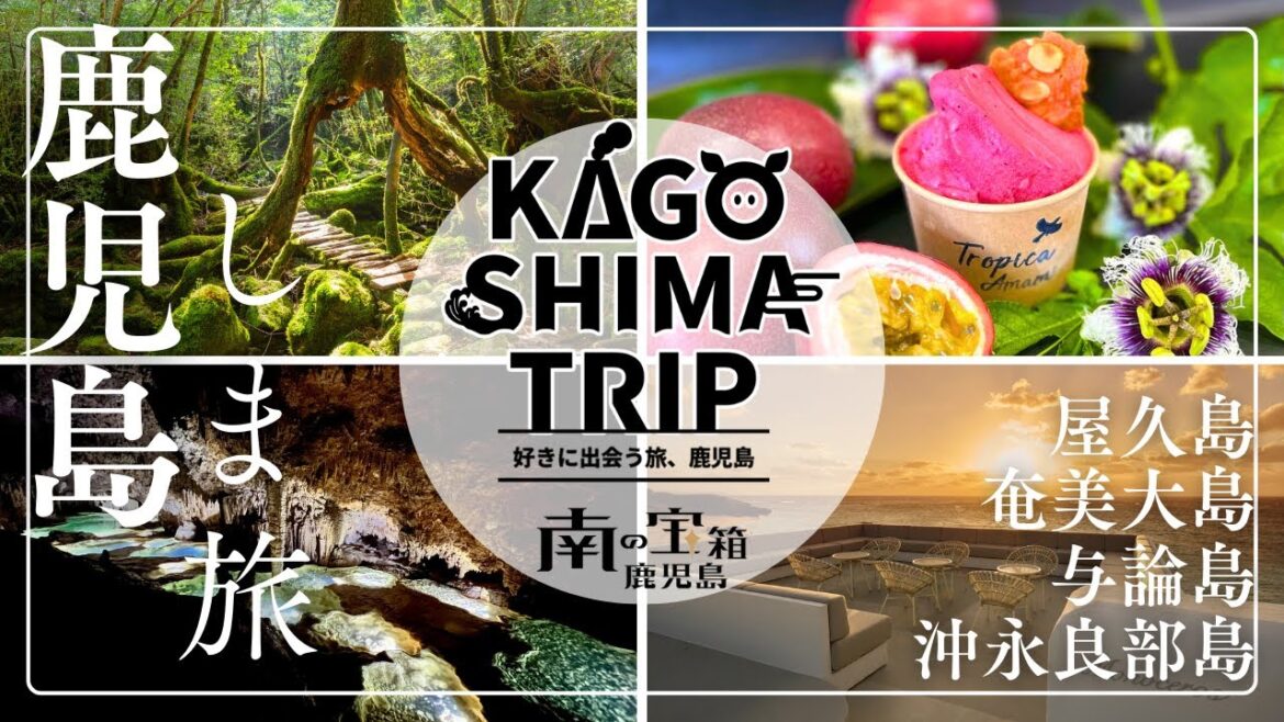 しま旅｜KAGOSHIMA TRIP~好きに出会う旅、鹿児島～