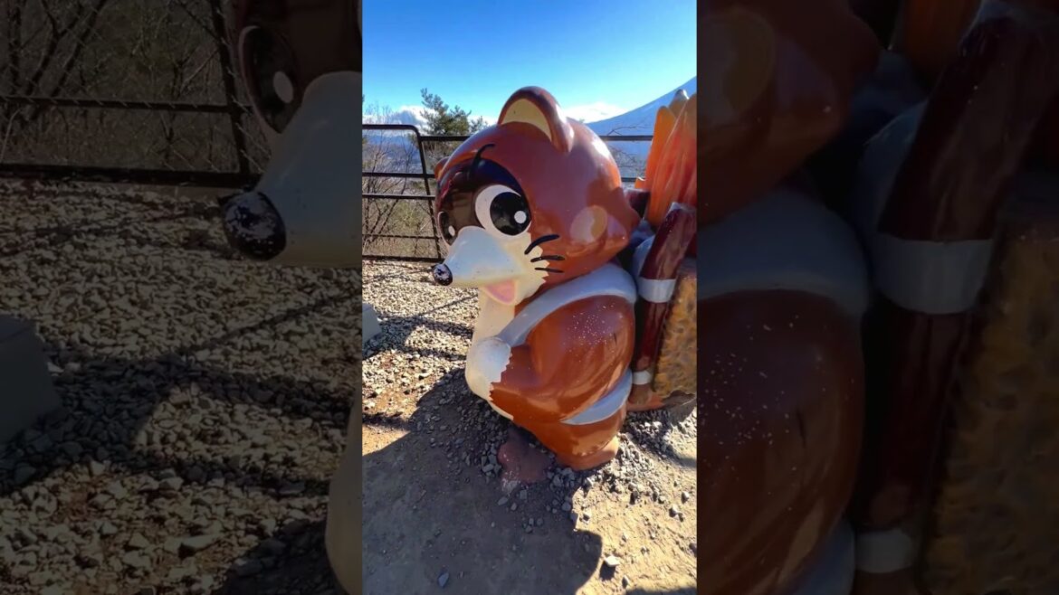 河口湖全景纜車賞富士山- LIVE JAPAN