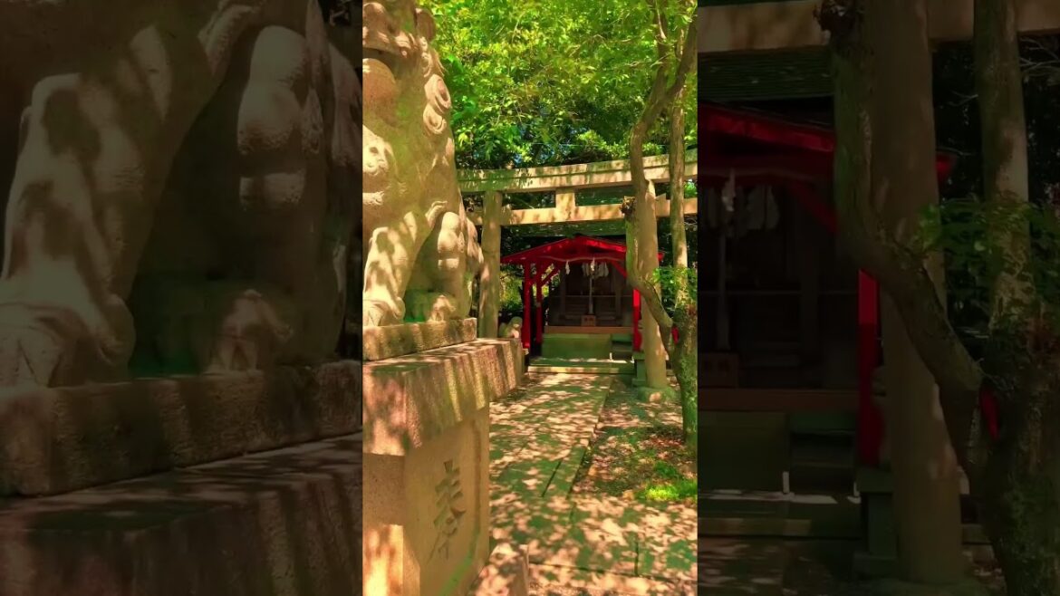 Hokura Shrine / 保久良神社 #travel #旅行 #visitjapan #観光 #japanesetour #japanwalk #japantravel Hokura Shrine / 保久良神社 #travel #旅行 #visitjapan #観光 #japanesetour #japanwalk #japantravel