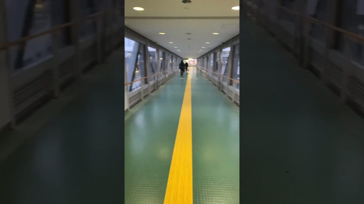 仙台空港国内線ターミナルから空港アクセス鉄道の駅へ 20250205