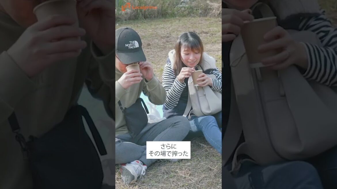 【姫路市】ゆずのもぎ取り体験【ロカプラ兵庫】#shorts #安富ゆず工房 #ゆずもぎ体験 #ゆず収穫 #兵庫の特産品 #姫路観光 【姫路市】ゆずのもぎ取り体験【ロカプラ兵庫】#shorts #安富ゆず工房 #ゆずもぎ体験 #ゆず収穫 #兵庫の特産品 #姫路観光