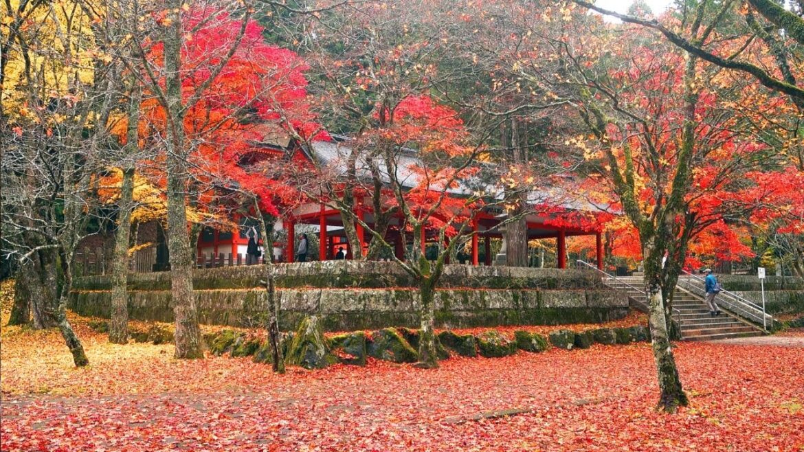 Japan’s MOST AMAZING travel destination? (Walking Tour of Koyasan, Wakayama Prefecture) Japan's MOST AMAZING travel destination? (Walking Tour of Koyasan, Wakayama Prefecture)
