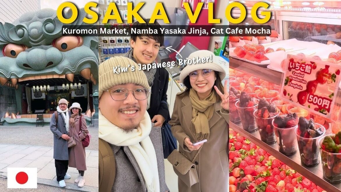 π―π΅ Kuromon Market Food Trip, Namba Yasaka Jinja, Cat Cafe Mocha Shinsaibashi + Kim’s brother meetup π―π΅ Kuromon Market Food Trip, Namba Yasaka Jinja, Cat Cafe Mocha Shinsaibashi + Kim's brother meetup