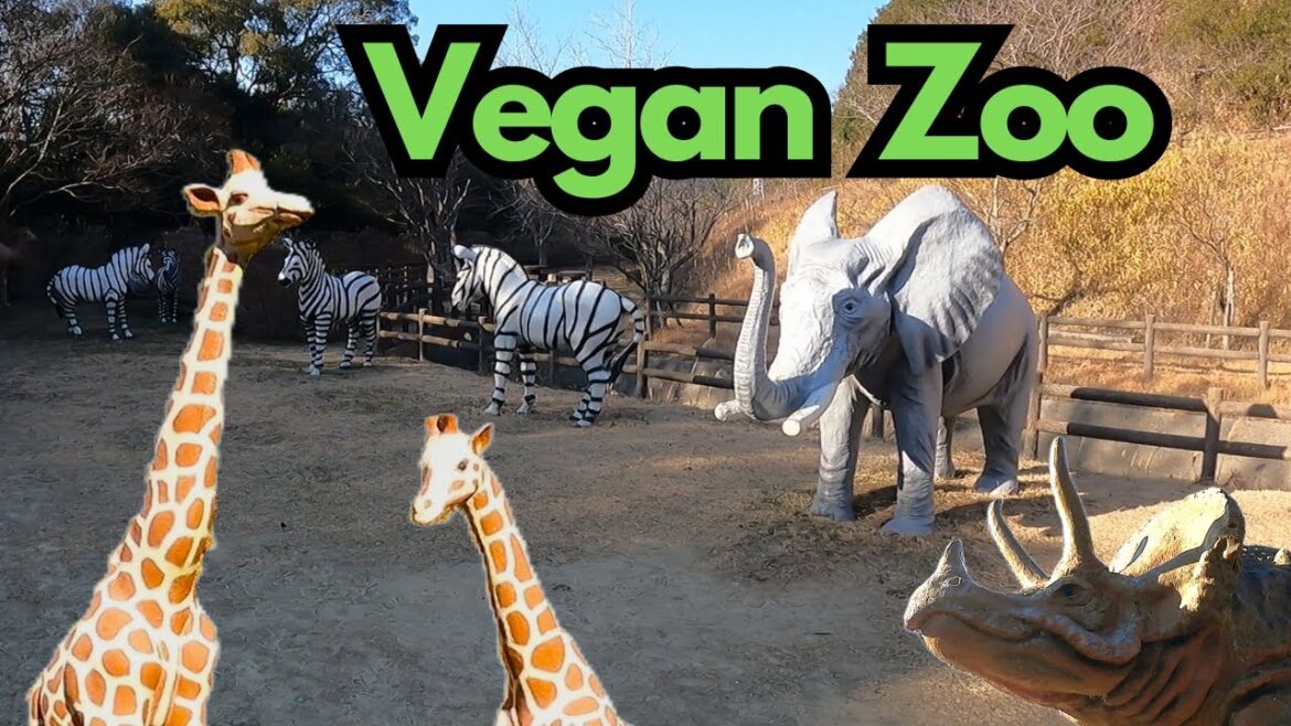 Shinrinkyoryu Park | The ethical Zoo