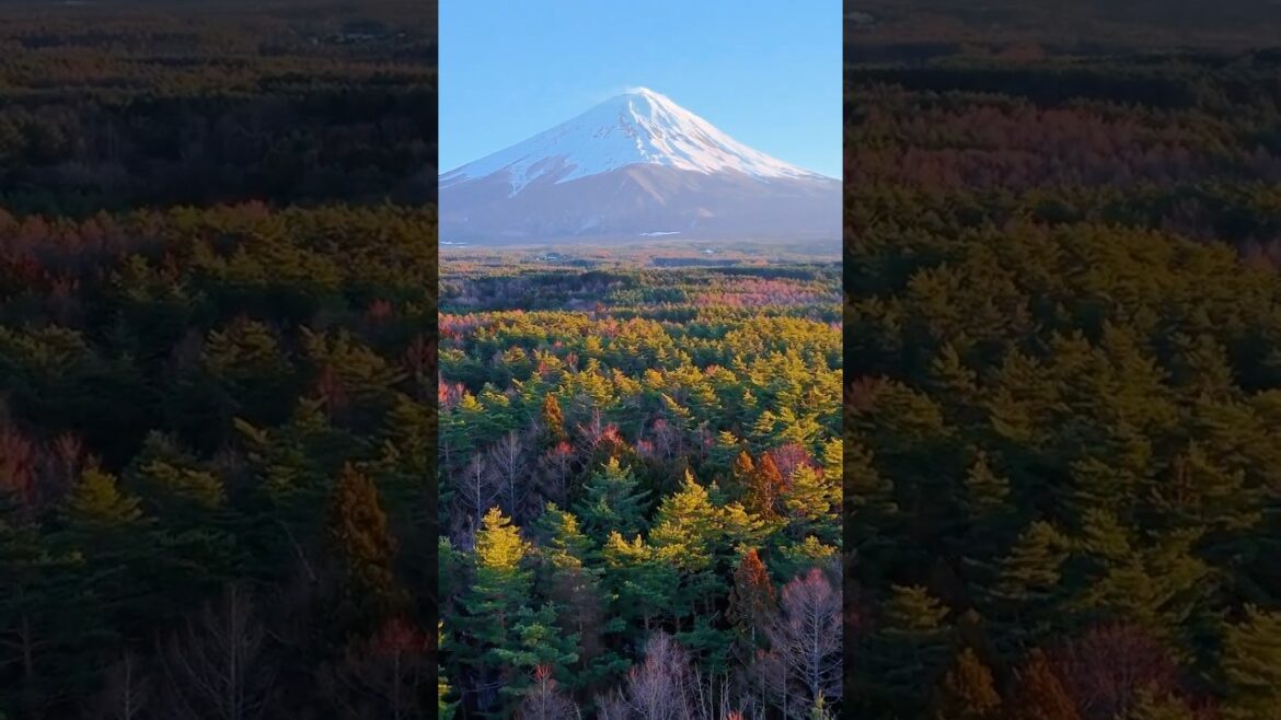Mount Fuji, Japan #travel #japan #japon #asia #fuji #mountfuji