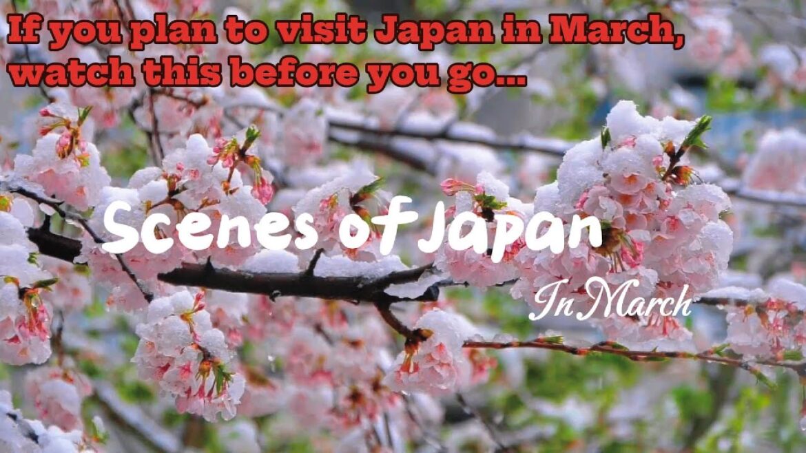 Tokyo, Japan - “Scenes of Japan in March”