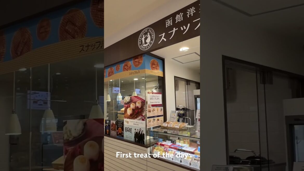 Cold cold day at Hakodate.