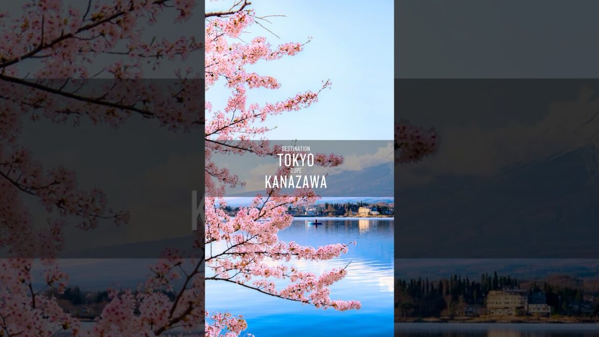 Escape Tokyo Crowds with These Secret Spots!